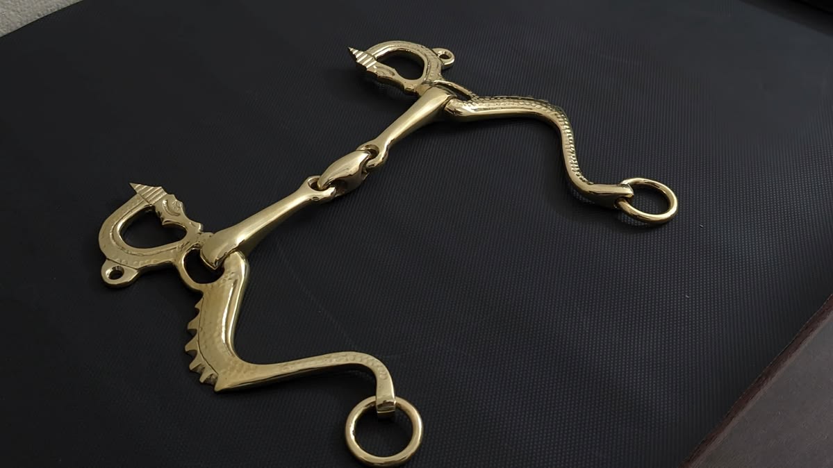 Stainless Steel Pelham Horse Bit with Shanks